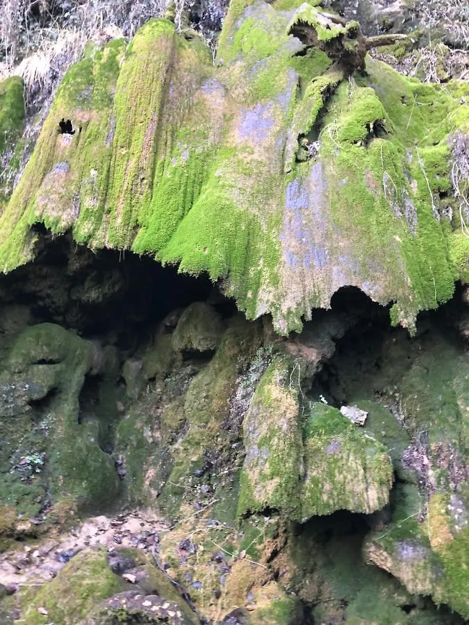 Gite Aurinko : Caravane Avec Bain Nordique Roquefort-Les-Cascades France